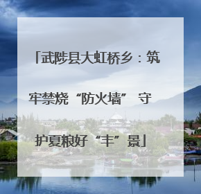 武陟县大虹桥乡：筑牢禁烧“防火墙” 守护夏粮好“丰”景