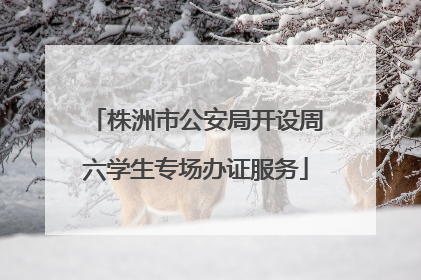 株洲市公安局开设周六学生专场办证服务