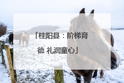 桂阳县：阶梯育德 礼润童心