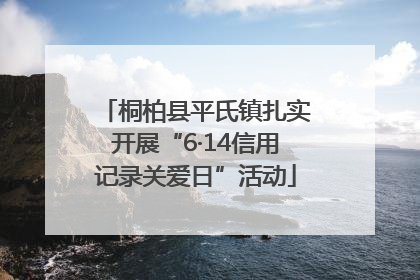 桐柏县平氏镇扎实开展“6·14信用记录关爱日”活动
