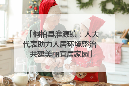 桐柏县淮源镇：人大代表助力人居环境整治 共建美丽宜居家园