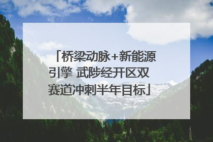 桥梁动脉+新能源引擎 武陟经开区双赛道冲刺半年目标