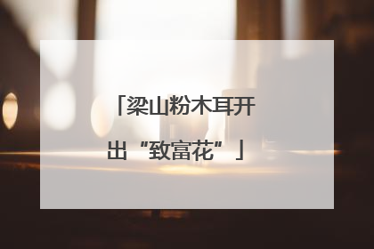 梁山粉木耳开出“致富花”