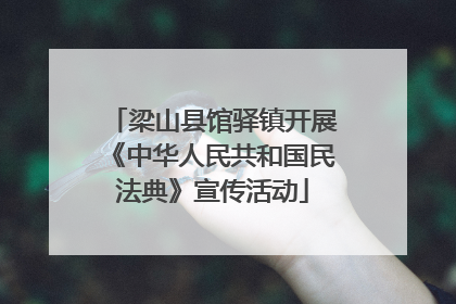 梁山县馆驿镇开展《中华人民共和国民法典》宣传活动