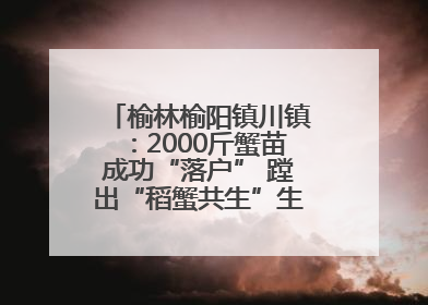 榆林榆阳镇川镇：2000斤蟹苗成功“落户” 蹚出“稻蟹共生”生态种养新路径