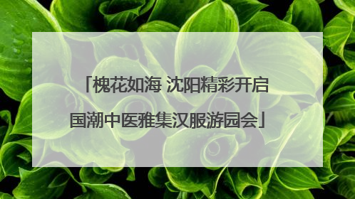 槐花如海 沈阳精彩开启国潮中医雅集汉服游园会