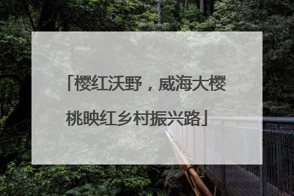 樱红沃野，威海大樱桃映红乡村振兴路