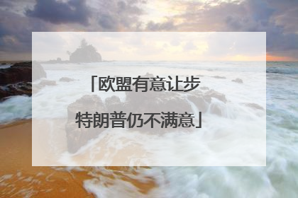 欧盟有意让步 特朗普仍不满意