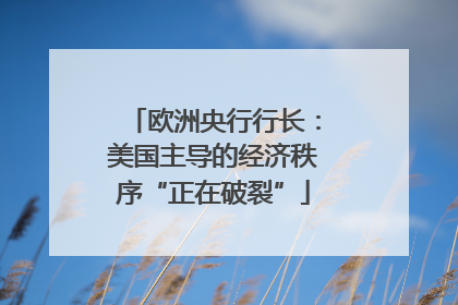 欧洲央行行长：美国主导的经济秩序“正在破裂”