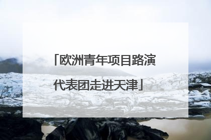 欧洲青年项目路演代表团走进天津