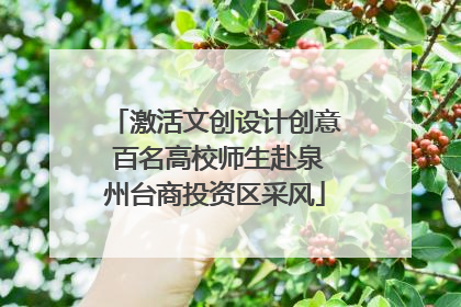 激活文创设计创意 百名高校师生赴泉州台商投资区采风