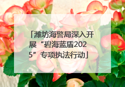潍坊海警局深入开展“碧海蓝盾2025”专项执法行动