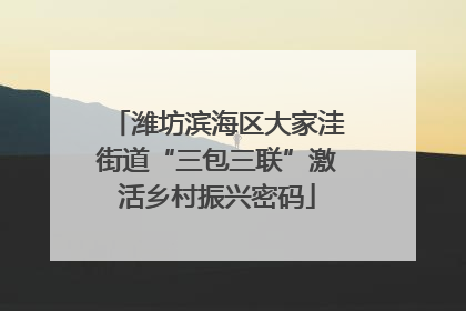 潍坊滨海区大家洼街道“三包三联”激活乡村振兴密码