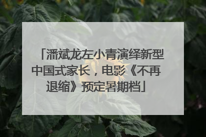 潘斌龙左小青演绎新型中国式家长，电影《不再退缩》预定暑期档