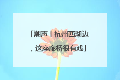 潮声丨杭州西湖边，这座廊桥很有戏