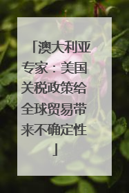 澳大利亚专家：美国关税政策给全球贸易带来不确定性