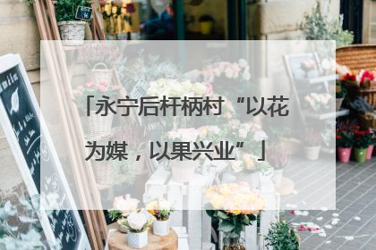 永宁后杆柄村“以花为媒，以果兴业”