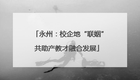永州：校企地“联姻” 共助产教才融合发展