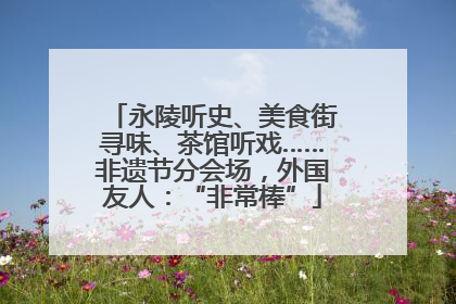 永陵听史、美食街寻味、茶馆听戏……非遗节分会场，外国友人：“非常棒”