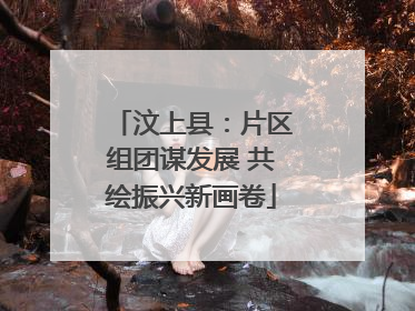 汶上县：片区组团谋发展 共绘振兴新画卷