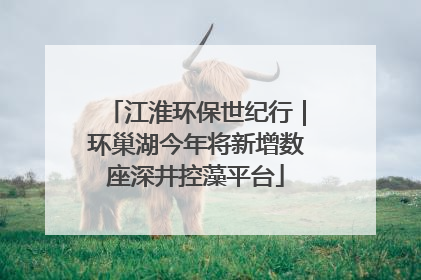 江淮环保世纪行｜环巢湖今年将新增数座深井控藻平台