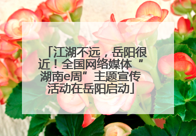 江湖不远，岳阳很近！全国网络媒体“湖南e周”主题宣传活动在岳阳启动