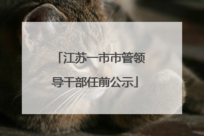 江苏一市市管领导干部任前公示