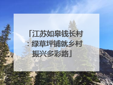 江苏如皋钱长村：绿草坪铺就乡村振兴多彩路