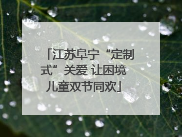 江苏阜宁“定制式”关爱 让困境儿童双节同欢