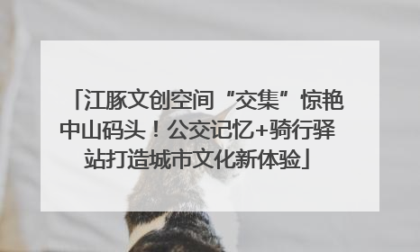 江豚文创空间“交集”惊艳中山码头！公交记忆+骑行驿站打造城市文化新体验