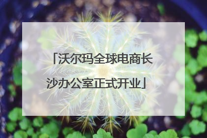沃尔玛全球电商长沙办公室正式开业