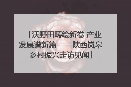 沃野田畴绘新卷 产业发展谱新篇——陕西岚皋乡村振兴走访见闻