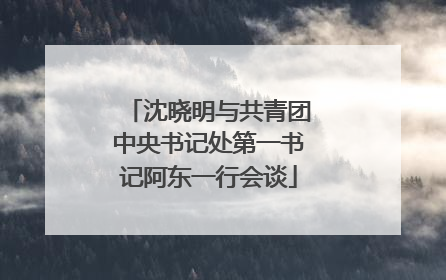 沈晓明与共青团中央书记处第一书记阿东一行会谈