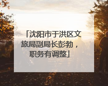 沈阳市于洪区文旅局副局长彭勃，职务有调整