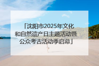 沈阳市2025年文化和自然遗产日主题活动暨公众考古活动季启幕
