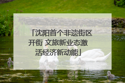 沈阳首个非遗街区开街 文旅新业态激活经济新动能