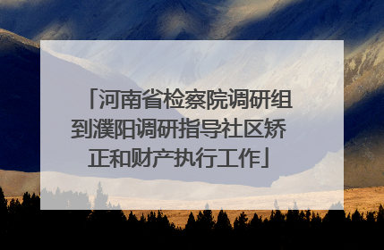 河南省检察院调研组到濮阳调研指导社区矫正和财产执行工作