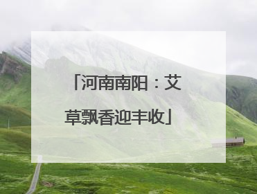 河南南阳：艾草飘香迎丰收