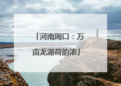 河南周口：万亩龙湖荷韵浓