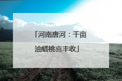 河南唐河：千亩油蟠桃喜丰收