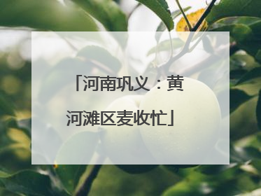 河南巩义：黄河滩区麦收忙