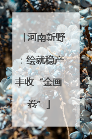 河南新野：绘就稳产丰收“金画卷”
