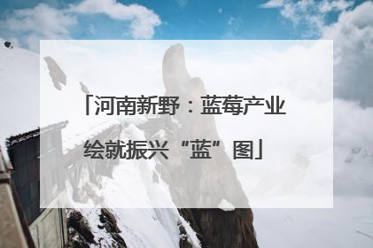河南新野：蓝莓产业绘就振兴“蓝”图