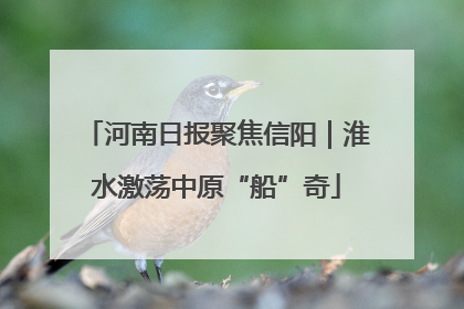 河南日报聚焦信阳｜淮水激荡中原“船”奇