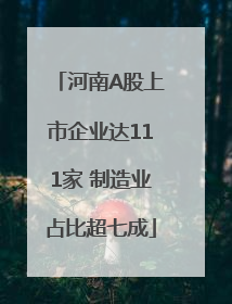 河南A股上市企业达111家 制造业占比超七成