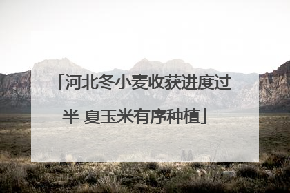 河北冬小麦收获进度过半 夏玉米有序种植