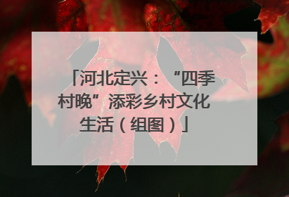 河北定兴：“四季村晚”添彩乡村文化生活（组图）