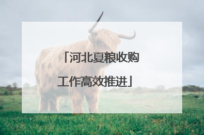 河北夏粮收购工作高效推进