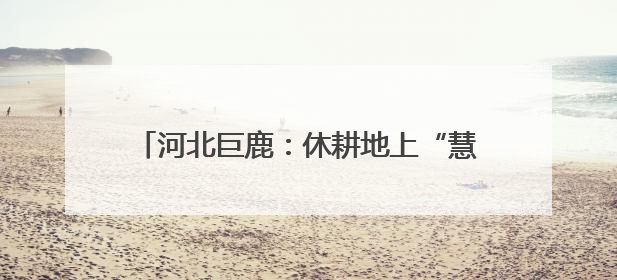 河北巨鹿：休耕地上“慧”种豆 良种良技促增收