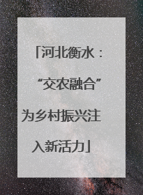 河北衡水：“交农融合”为乡村振兴注入新活力